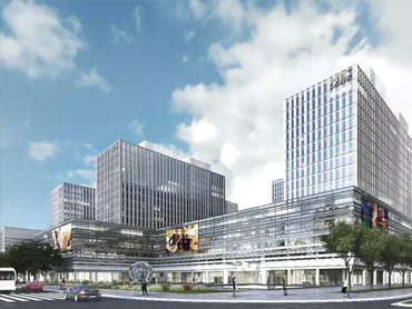 ��ƺ�����������